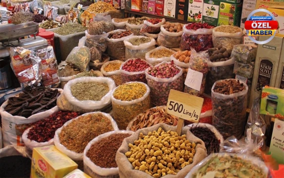 Sezonu başlamak üzere ama Şanlıurfa’da kilosu 500 liradan satılıyor!