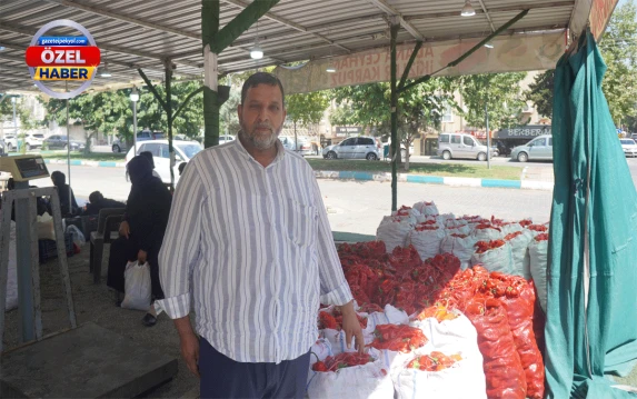Şanlıurfalılar bu yıl isotsuz kalabilir! Elinizi çabuk tutun…