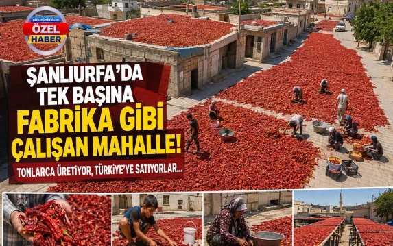 Şanlıurfa'da tek başına fabrika gibi çalışan mahalle!