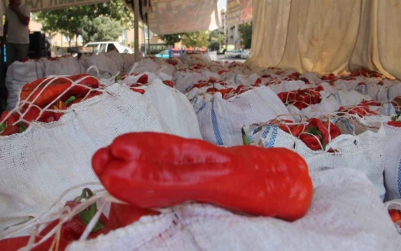 Şanlıurfa'da fiyatını görenler gözlerine inanamadı! İsot resmen çakıldı