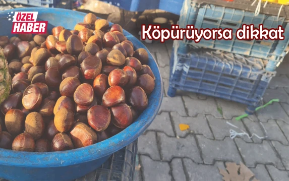 Şanlıurfa’da kestane tehlikesi! Bunları yiyen hastanelik oluyor