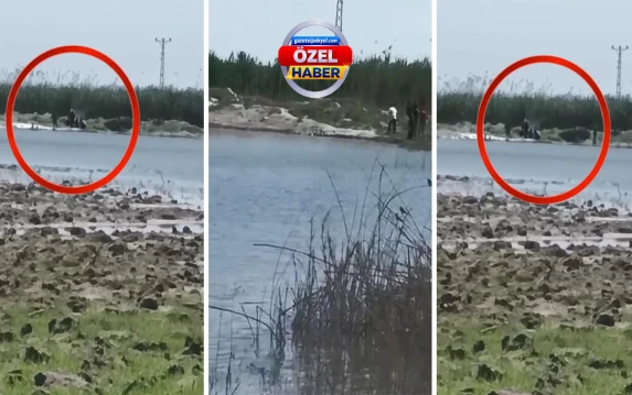 Şanlıurfa’da facia bile ders olmadı! Mayınlı alanda korkutan rahatlık