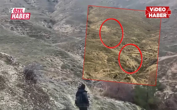 Şanlıurfalı doğaseverlerin yürüyüşünde adrenalin tavan yaptı! Bir anda fırladılar…