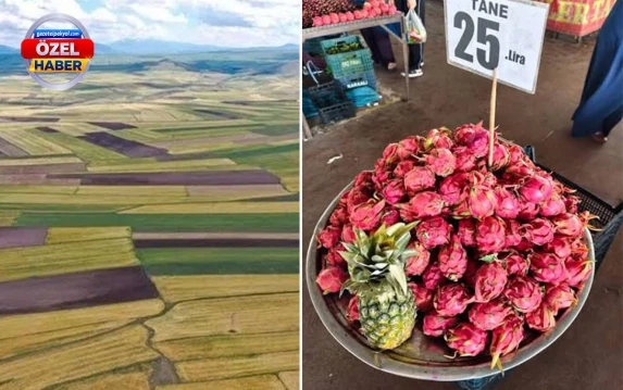 Urfa'da asırlık ekim alışkanlıkları değişiyor!