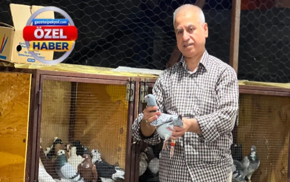 Şanlıurfa'nın çatılarında yatan servet: Tanesi 1 milyon liraya alıcı buluyor!