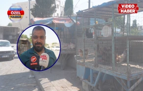 Şanlıurfa’da 'kanatlı' pazarı sonbaharla canlandı!