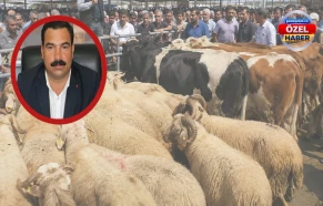 Şanlıurfa'da kurbanlık sevkiyatları batıya yöneldi:  Üretici karda, tüketici zorda