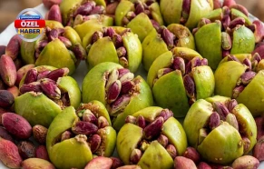 Şanlıurfa incirinde yeni sezon başladı! İşte kilogram fiyatı...