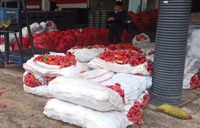 Urfa hali biberle doldu taştı ama vatandaşın yüzü gülmüyor!