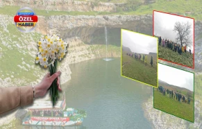 Urfa’da bir "nergis" masalı: Takoran Vadisi büyüledi!