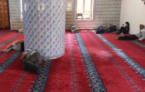 Şanlıurfa'da serinliği bulan gözlerini kapatıyor!