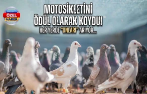 Şanlıurfa’da kuşlarını getirene altındaki motoru hediye ediyor!