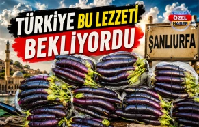Tarladan patlıcan kebabına uzanan lezzet yolculuğu başladı!
