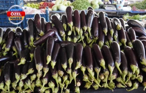 Türkiye bu lezzetin peşine düştü: Şanlıurfa’da tarladan çıkmadan tükeniyor