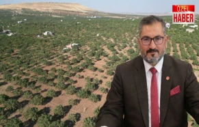 Şanlıurfa'nın yeşil altını için kritik dönem! Yüksek verim için bunlar şart