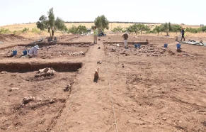 Çin'den gelip Şanlıurfa'nın altını üstüne getiriyorlar! Dünyanın gözü burada...