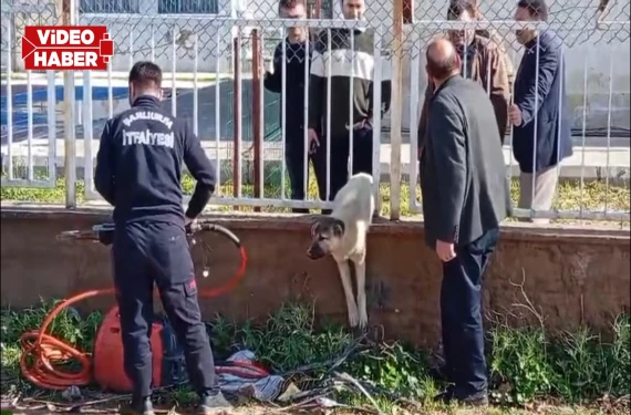 Korkuluklara sıkışan köpeği itfaiye kurtardı