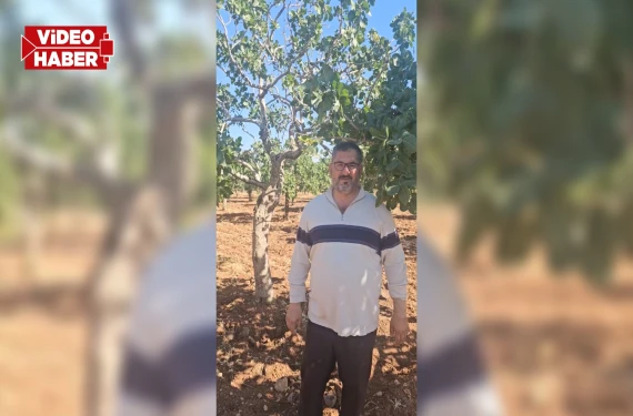 Hırsızların yeni hedefi aşı kalemleri oldu