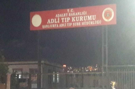 Karşıdan karşıya geçmek istemişti