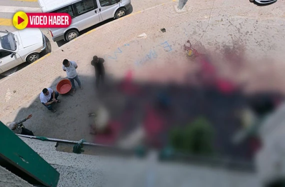 Şanlıurfa’da tepki çeken görüntüler!