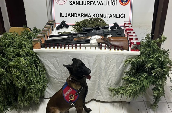 Neler çıktı neler…