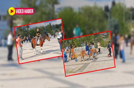 At sahiplerinden Şanlıurfa'da bayram sürprizi: