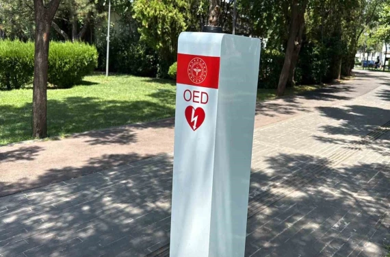Diyarbakır'da akılalmaz hırsızlık