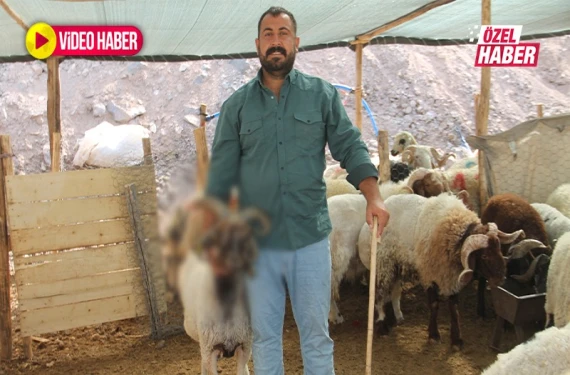 Gören şaşıp kalıyor