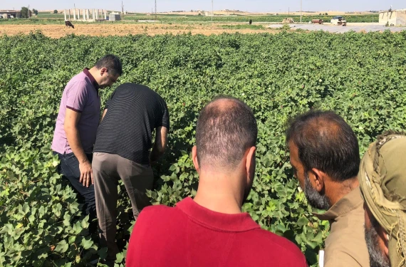 Uzmanlar uyardı!