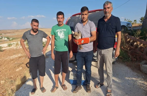 Tedavi altına alındı