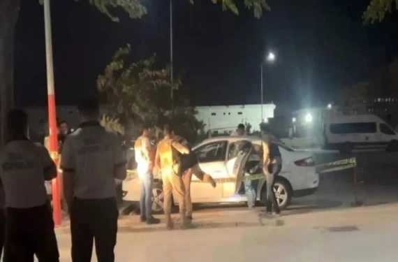 Ölü var