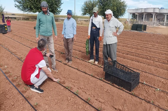 Teşvik ile yaygınlaşıyor…