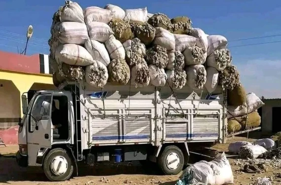 Satılıyor...