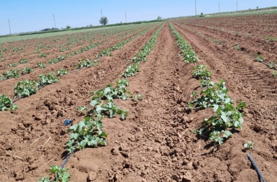 Tüm çiftçilere çağrı