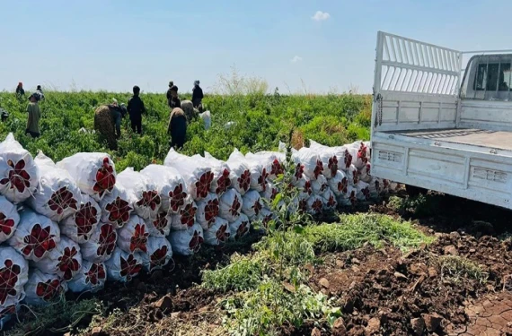 Vatandaşlar araçları doldurdu