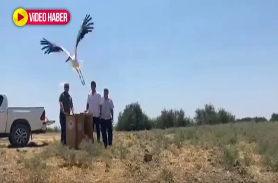 Yeniden kanat çırptılar