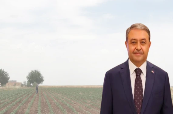 Mühürle yetinilmeyecek, yıkım gelecek