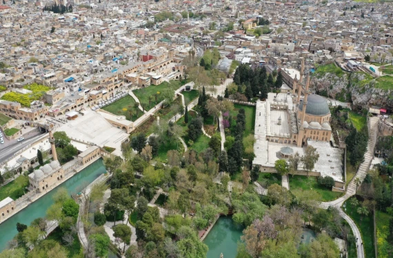 Şanlıurfa'ya böyle ceza gelmeli!