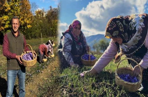 Kilogramı 600 bin TL!