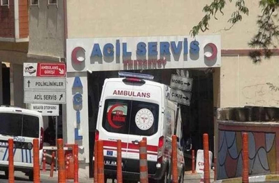 İsimleri...