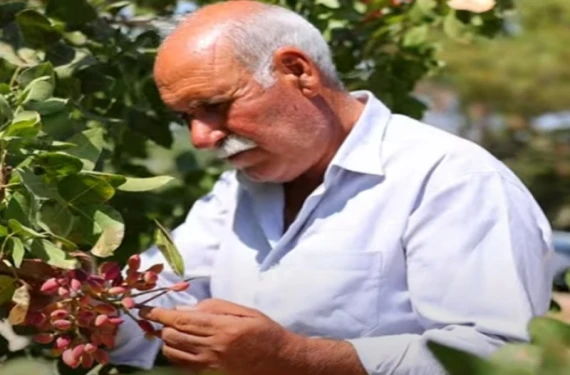 Verim artıyor