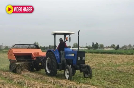 Çiftçilerin yem mesaisi başladı