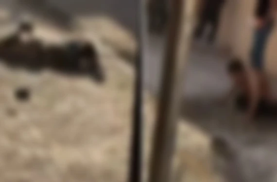 Valilikten açıklama geldi