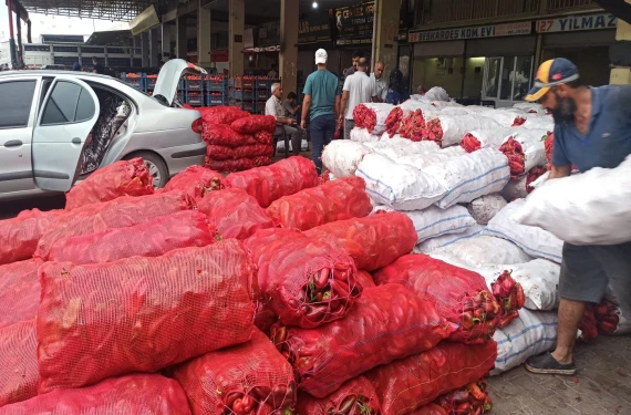 Duyan oraya akın etti, kapış kapış satıldı!