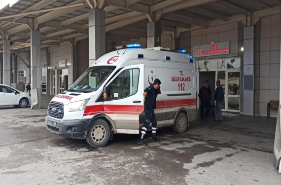 Ölü var