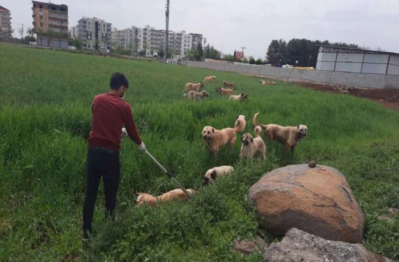 İşte detaylar...