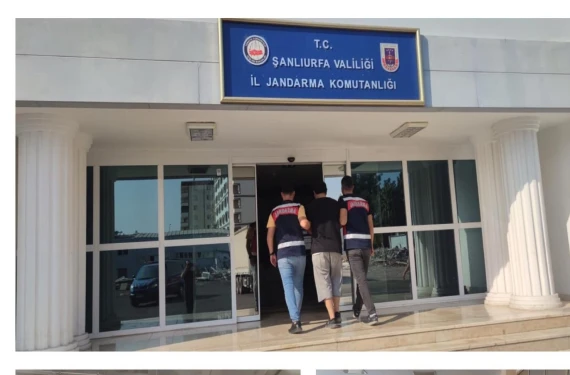 Urfa’da jandarmadan dev operasyon: