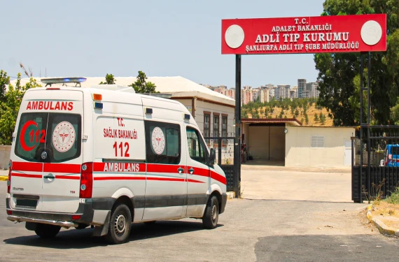 İsimleri...