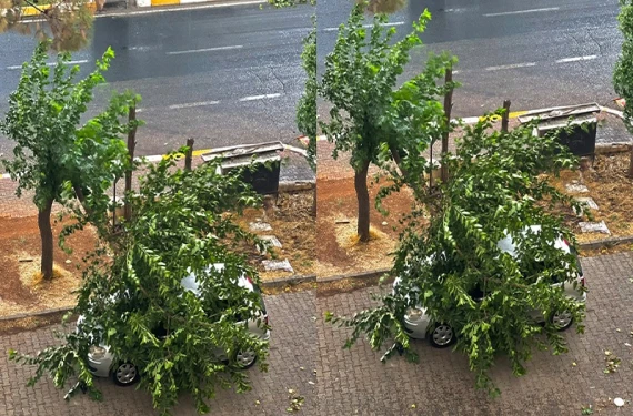 Şanlıurfa’da ilginç olay