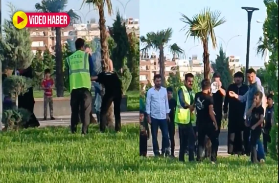 Durduk yere ağacı ateşe verdi